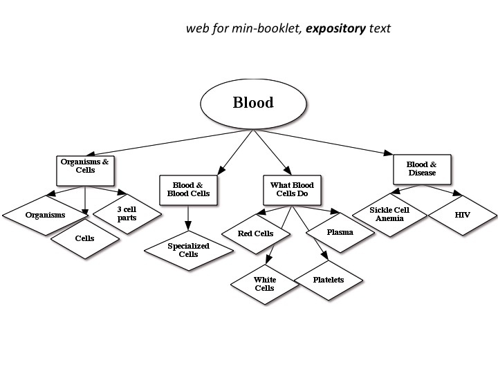 Top Down Topic Webs Keys To Literacy