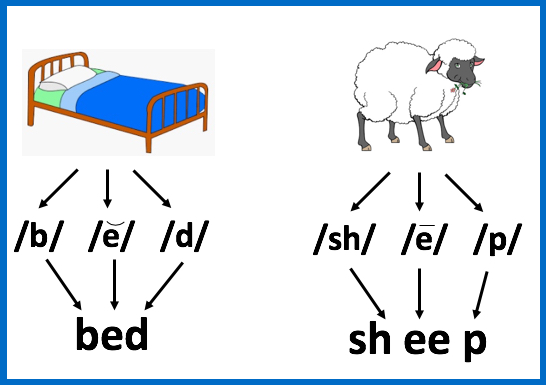 50 mini task phonics/ spellings (phase 2 set 1 - phase 3 set 5 )