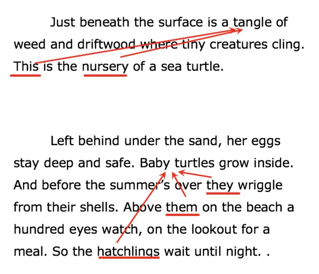 descriptive writing about a beach at night