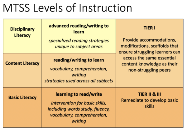 Adolescent Literacy: Components of Literacy Instruction in an MTSS Model