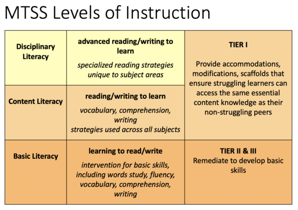 literacy instructional strategies assignment iteach