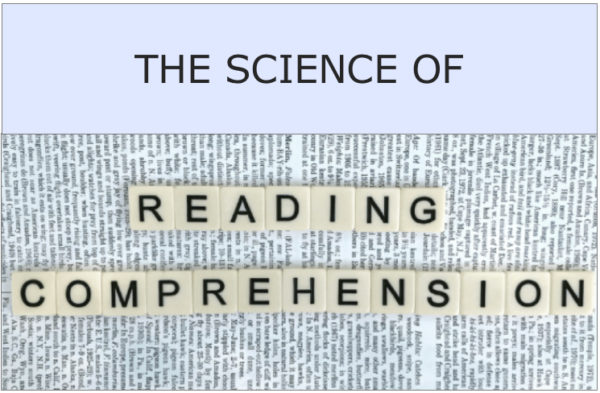 essay on reading comprehension