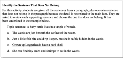 The Mighty Paragraph - Keys to Literacy