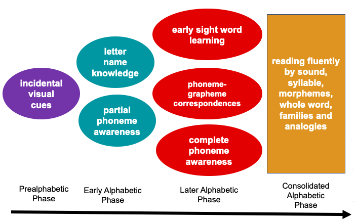 What Are The 5 Ehri Stages Of Reading